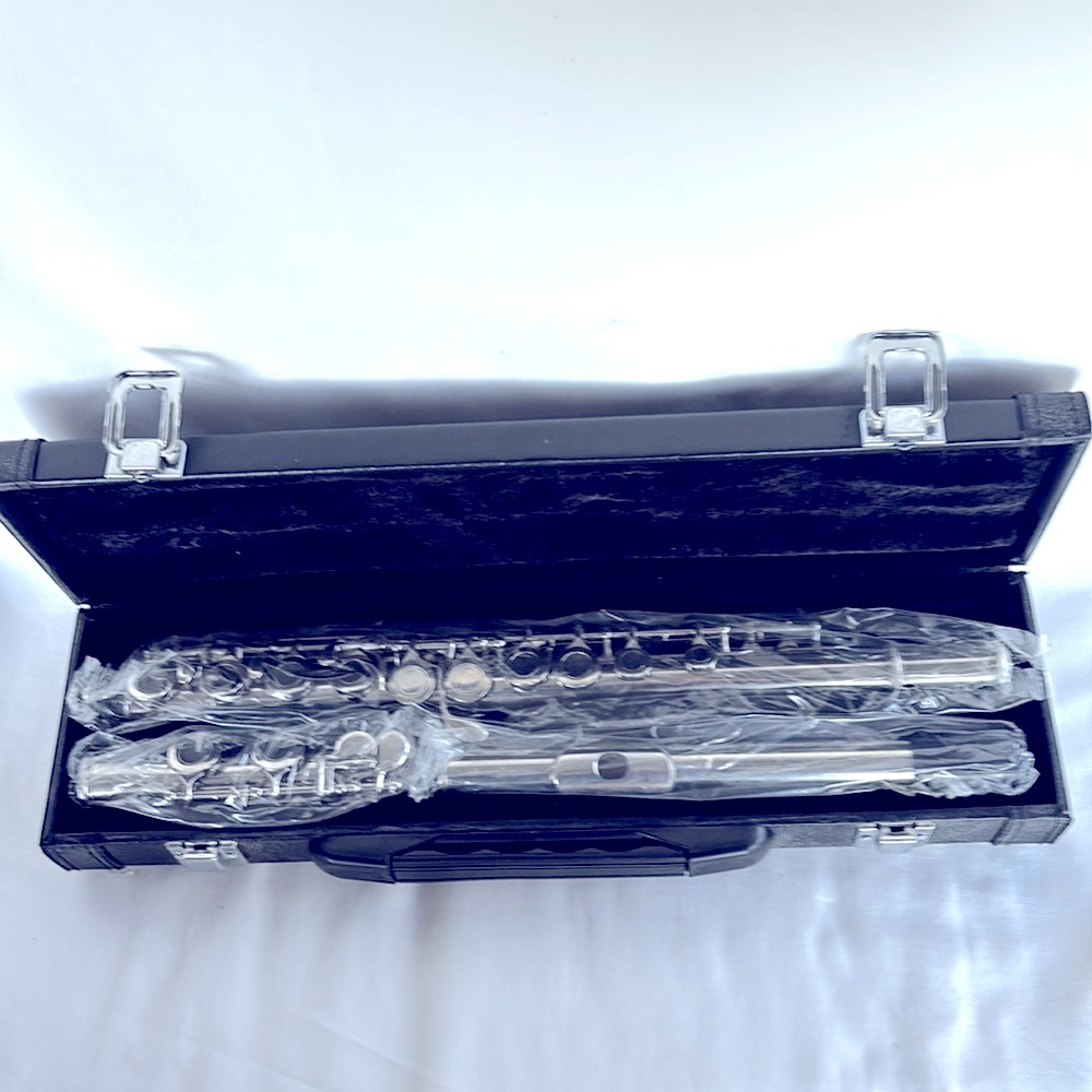 NIB  Hisonic Signature Series 2810N Closed 16-Hole Flute - Picture 2 of 12